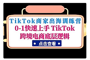 【副业项目5013期】TikTok商家出海训练营：0-1快速上手 TikTok跨境电商底层逻辑